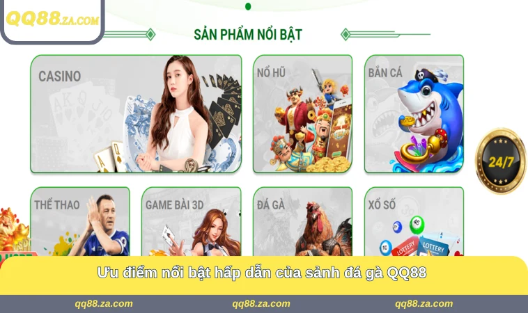 Ưu điểm nổi bật hấp dẫn của sảnh đá gà QQ88 