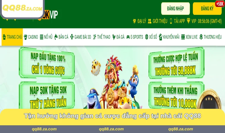 Tận hưởng không gian cá cược đẳng cấp tại nhà cái QQ88